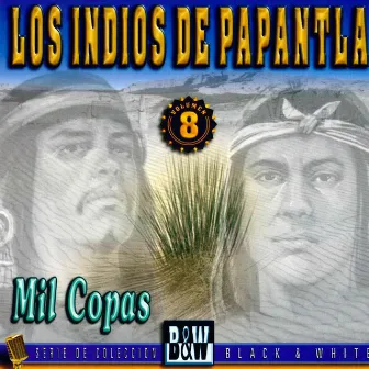 Mil Copas, Vol. 8 by Los Indios De Papantla