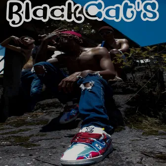 Mixtape by BLACKCAT'S FGP.