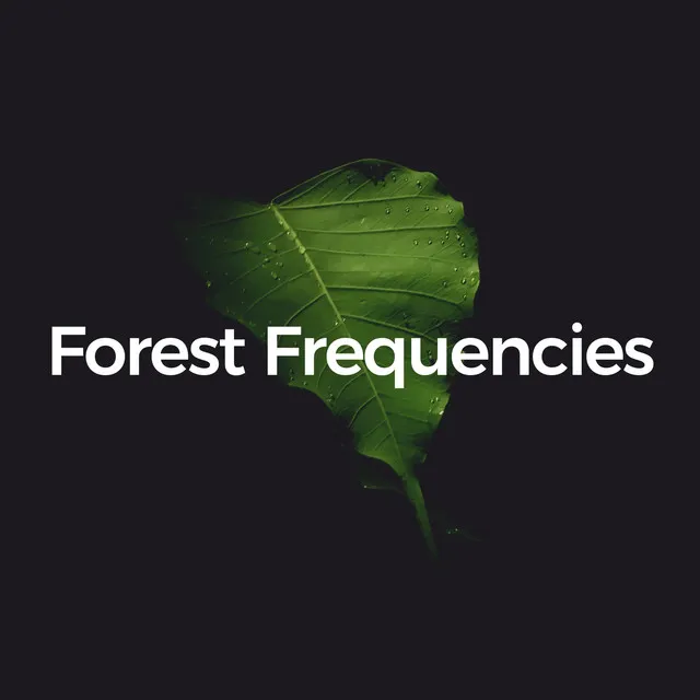 Forest Frequencies (Harmonizing with Nature)