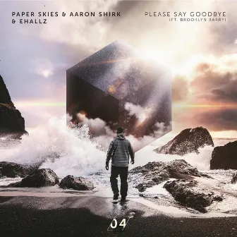 Please Say Goodbye by Aaron Shirk