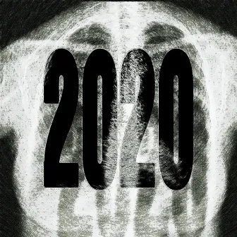 2020 by Kringe!