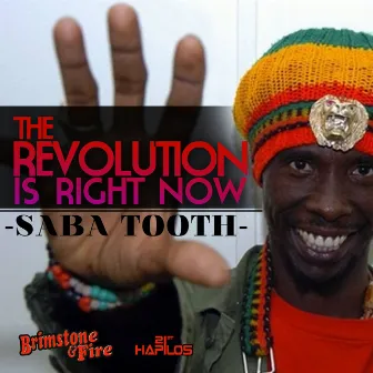 The Revolution Is Right Now! by Saba Tooth