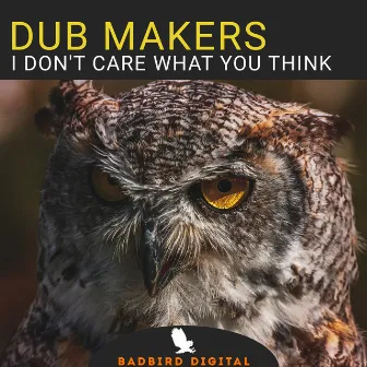 I Don't Care What You Think by Dub Makers