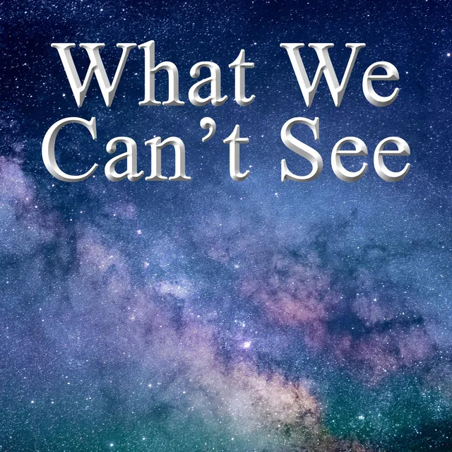 What We Can't See