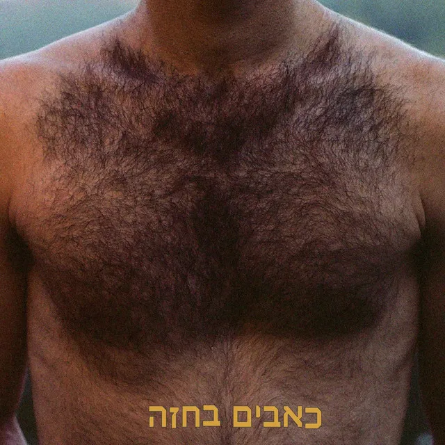 צומת לב