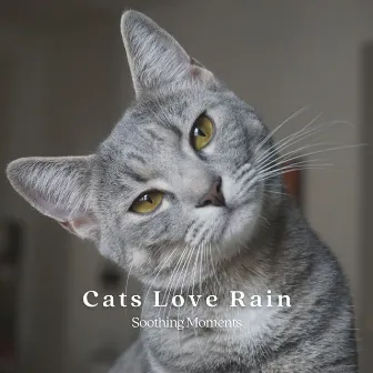 Cats Love Rain: Soothing Moments by Cat Songs