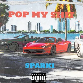 POP MY SHIT by SPARK1