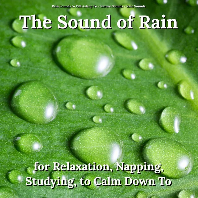 Rain Sound for Newborns