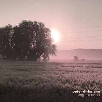 dog in a tunnel by Peter Dirkmann