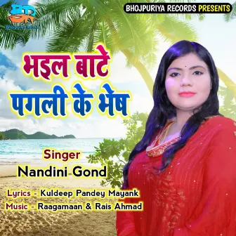 Bhail Baate Pagali Ke Bhes by Nandini Gond