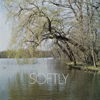 Softly by John Fiddy