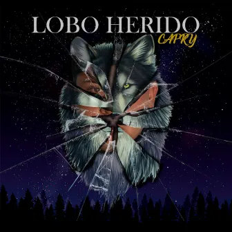 Lobo herido by Capry