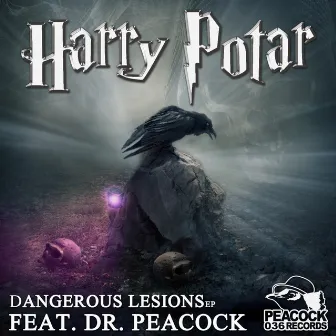 Dangerous Lesions EP by Harry Potar