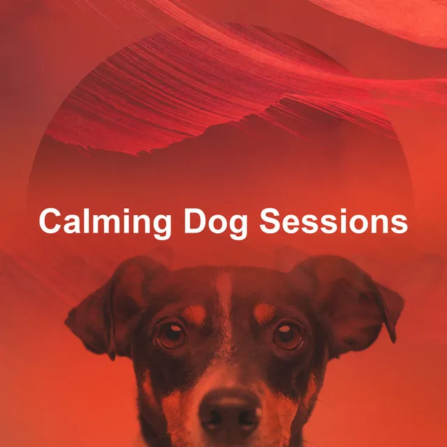 Calming Dog Sessions