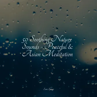 50 Nature Sounds by Academia de Meditação Buddha