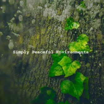 Simply Peaceful Environments by Natural Sound Selections