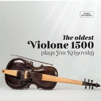 Violone 1500 by Ján Krigovský