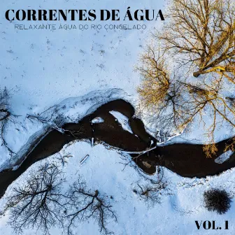 Correntes De Água: Relaxante Água Do Rio Congelado Vol. 1 by Música de Relaxamento No Spa