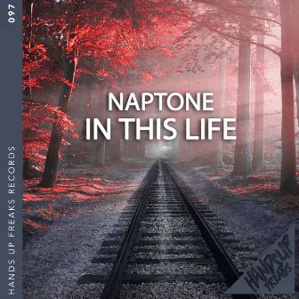 In This Life by Naptone