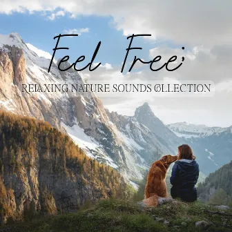 Feel Free: Relaxing Nature Sounds Collection by Sound of Nature Library