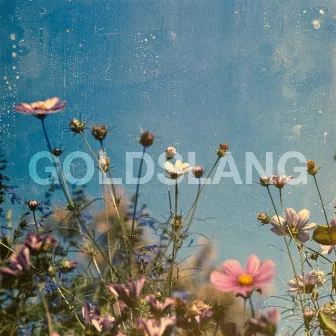 Win Silver Lose Gold, Vol. 1 by GOLDSLANG