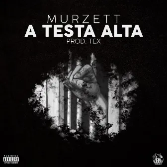 A testa alta by Murzett