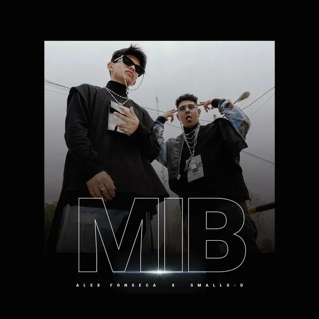 MIB