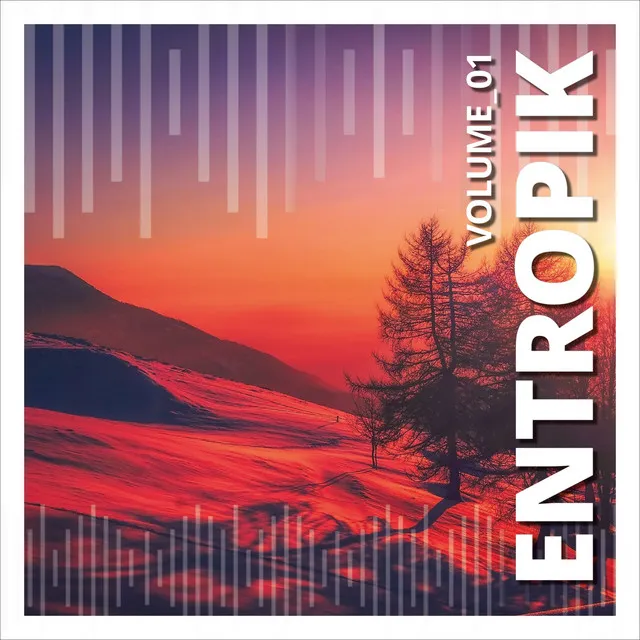 Entropik, Vol. 1