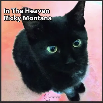 In The Heaven by Ricky Montana