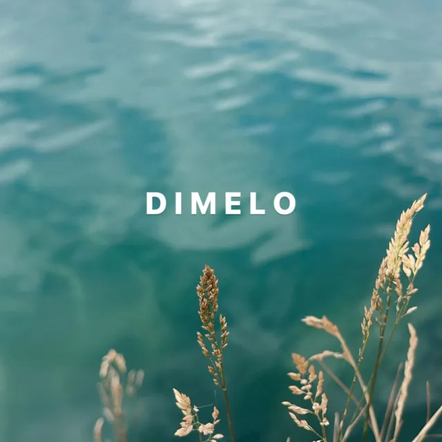 Dimelo