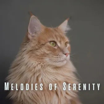 Melodies of Serenity: Meditative Piano for Happy and Relaxed Pets by One Hour Meditation