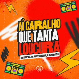 Aí Caralho Que Tanta Loucura by Mc Felipinho Syllva