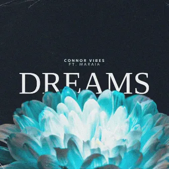 Dreams by Connor Vibes