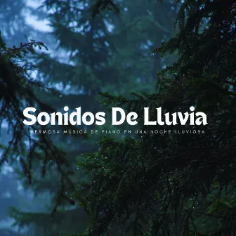 Sonidos De Lluvia: Hermosa Música De Piano En Una Noche Lluviosa by Lluvia Suena Dormir