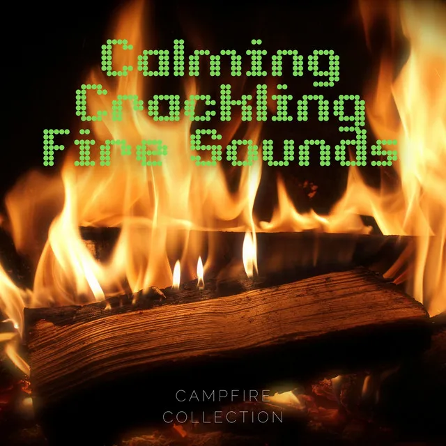 Soothing Campfire Sounds