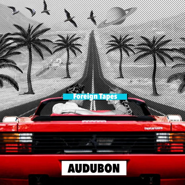 Audubon (Night Time)