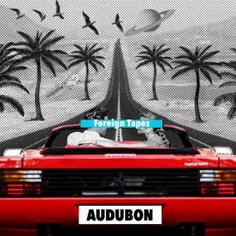 Audubon by Foreign Tapes