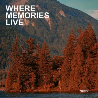 Where Memories Live by Zeeshan Parwez