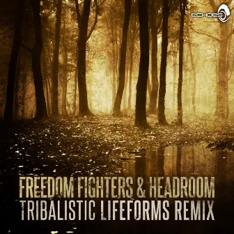 Tribalistic (Lifeforms Remix) by Headroom