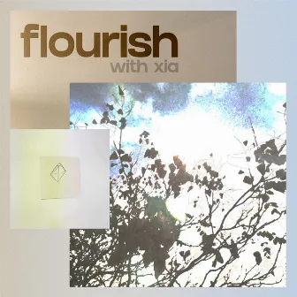 flourish by AT4G