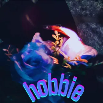 hobbie by X.A.N.