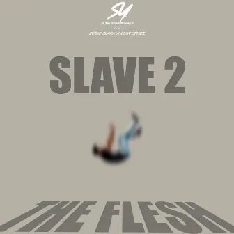 Slave 2 The Flesh by S.Y. the Southern Yankee