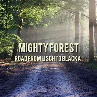 Mighty Forest Road From Lisch To Blacka by Tommy Almighty