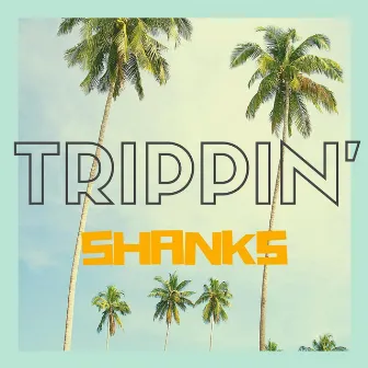 Trippin' (feat. Breana Marin) by Shanks