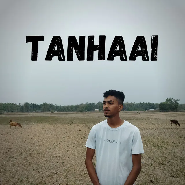 Tanhaai