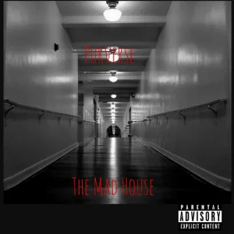 The Mad House by 