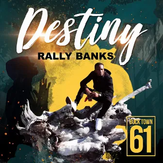 Destiny by Rally Banks