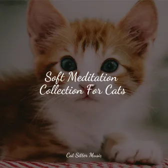 Soft Meditation Collection For Cats by Calm Music for Cats