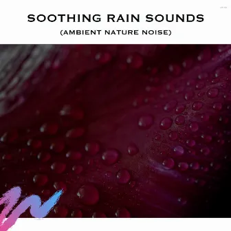 Soothing Rain Sounds (Ambient Nature Noise) by Rain Sleeping Sounds