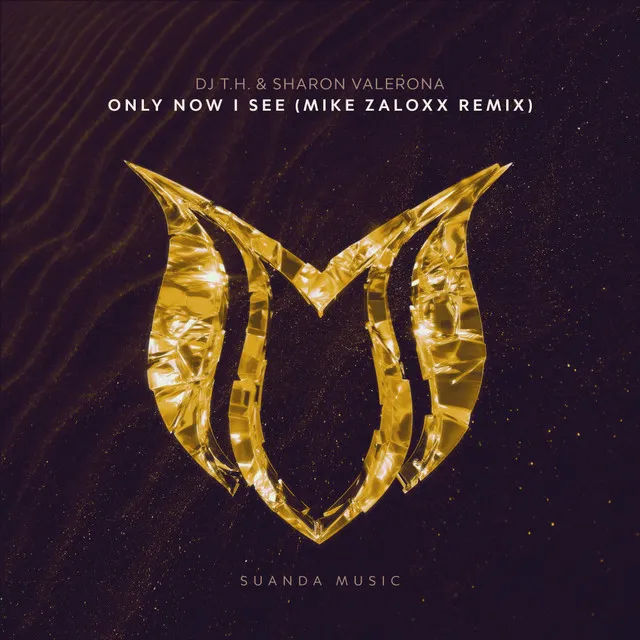 Only Now I See - Mike Zaloxx Remix